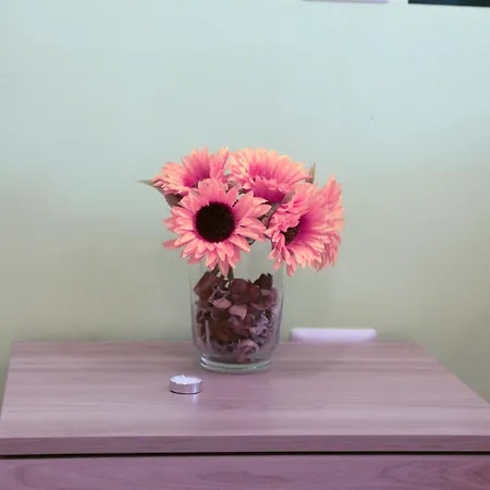 The Flower Garden *